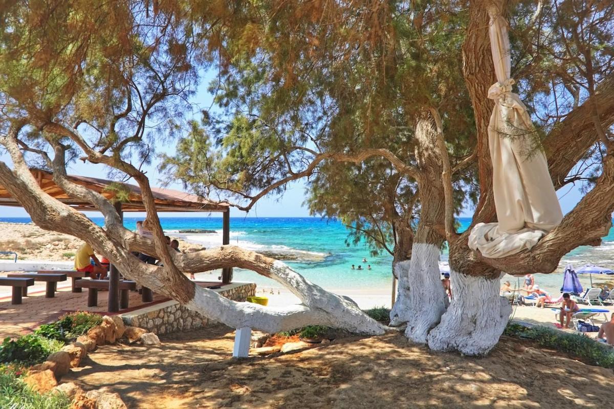 Beachfront Luxury Villa Idania Ayia Napa Exterior foto
